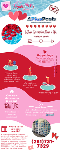 A Plus Pools February Newsletter.png