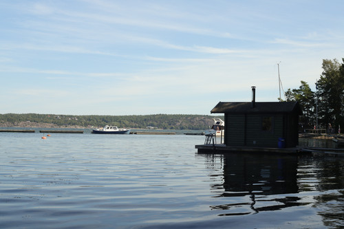 IMG 7381.jpg