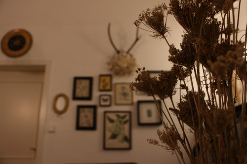 IMG 7043.jpg