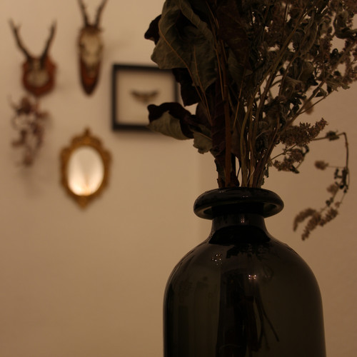 IMG 6999.jpg