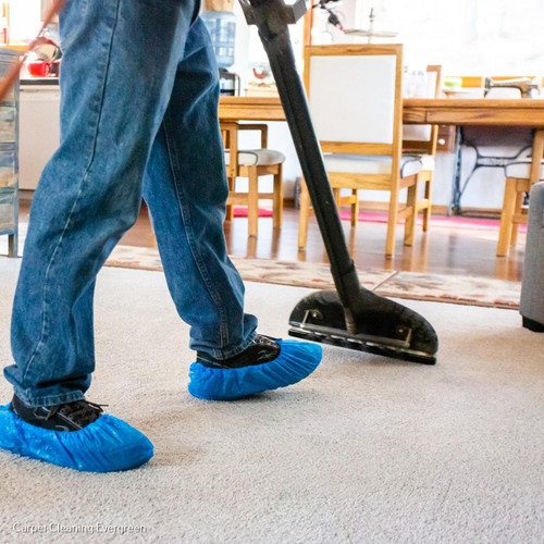 Mountain Best Carpet & Upholstery Cleaning 2.jpg