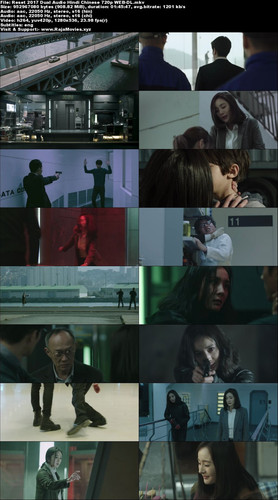 Reset 2017 Dual Audio Hindi Chinese 720p WEB DL.jpg