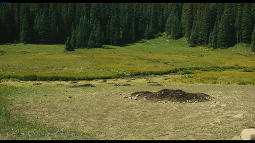 Screenshot (18).png