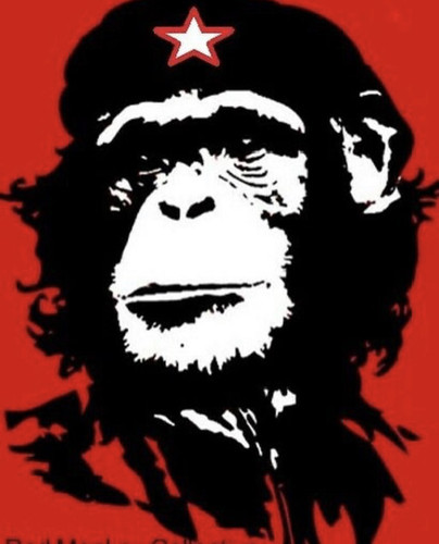 1B0EA4AC 712A 4B21 868C 548B2BB5DF65.jpg
