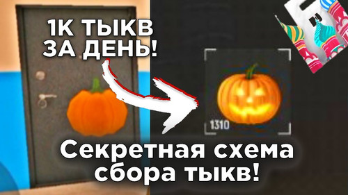 ima 3.jpg
