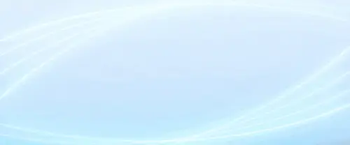 bg (1).webp