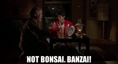 1592f89c 4ec8 4b89 a98b 4ebe3b4fe246 text.gif
