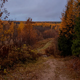 AGCD 20221006 4