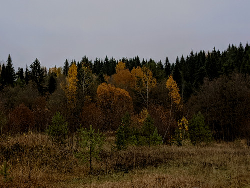 AGCD 20221006 5.jpg