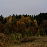 AGCD 20221006 5