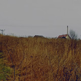 IMG 20221008 6