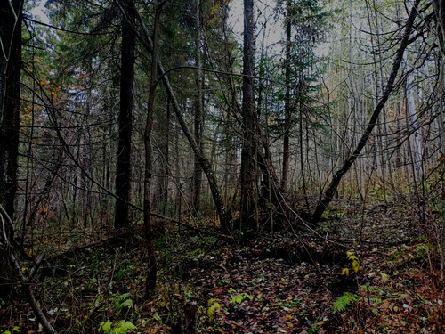 IMG 20221008 4.jpg