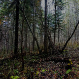 IMG 20221008 4