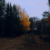 IMG 20221008 8