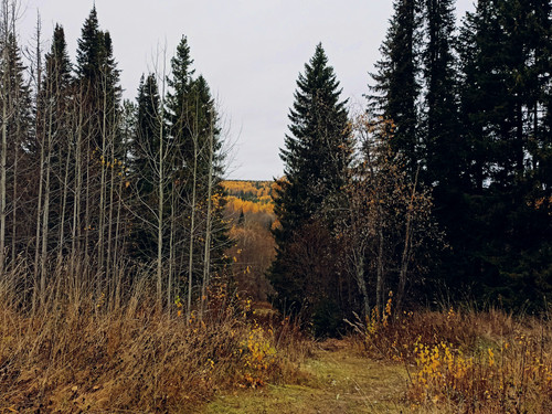 IMG 20221008 5.jpg