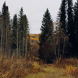 IMG 20221008 5