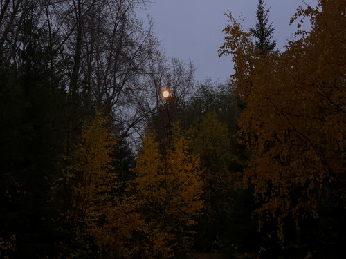 AGCD 20221006 2 1.jpg