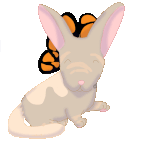 Budmaroos Banner | MADE BY COOLDOGOOO on chicken smoothie and toyhouse.gif