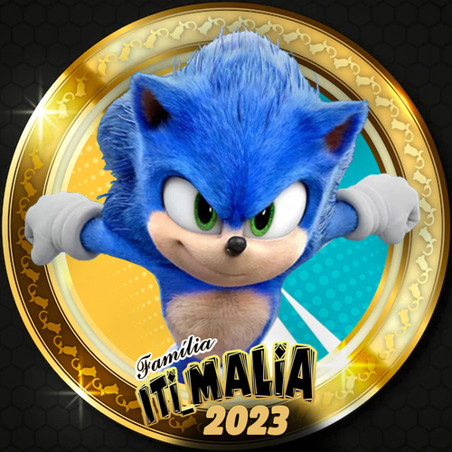 com moldura para fotos de perfil sonic.png