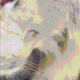 lev.gif