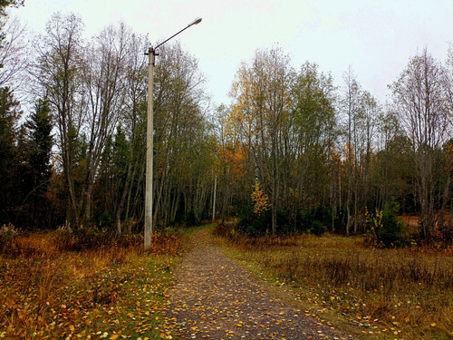 IMG 20221008 1.jpg