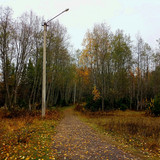 IMG 20221008 1