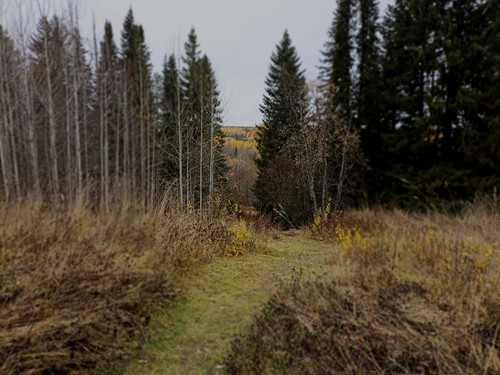 IMG 20221008 2.jpg