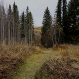 IMG 20221008 2
