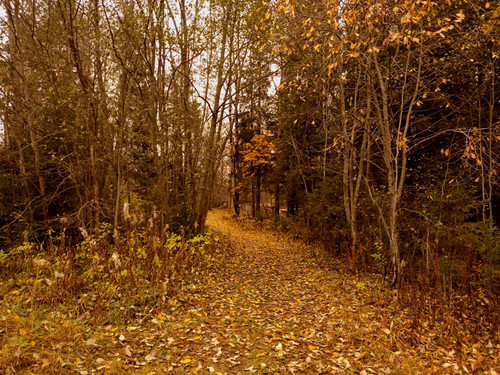 IMG 20221008 3.jpg