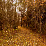IMG 20221008 3