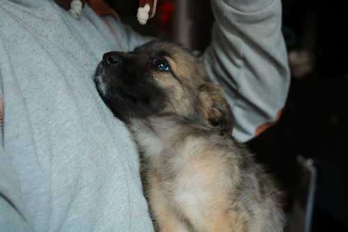 IMG 0962.jpg