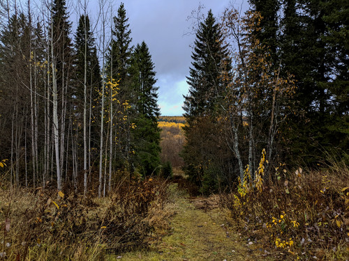AGCD 20221007 4.jpg