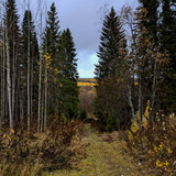 AGCD 20221007 4