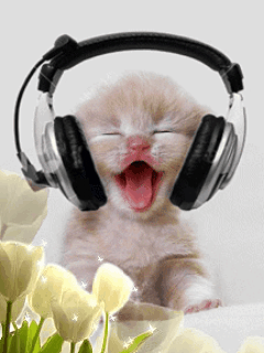 cat music 321013.gif