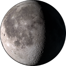scaled image picker7246888284162617848.png