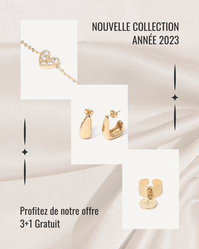 Nouveautés janvier 2023.png