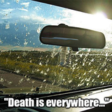 fly on the windscreen.png