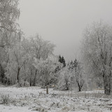 AGCD 20221123 3