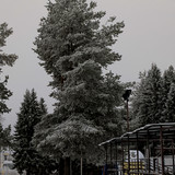 AGCD 20221123 2
