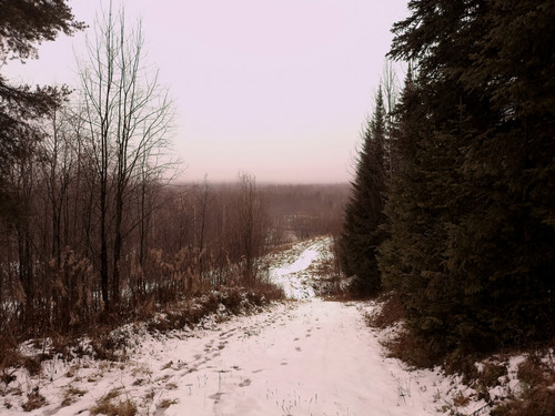 IMG 20221110 6.jpg