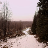 IMG 20221110 6