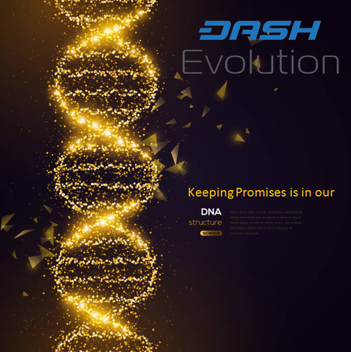 dash evo.png