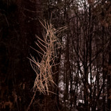 IMG 20221110 3