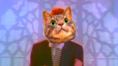 maxresdefault.jpg