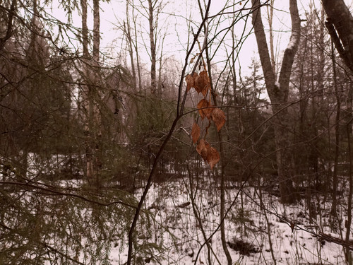 IMG 20221110 8 1.jpg