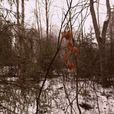 IMG 20221110 8 1