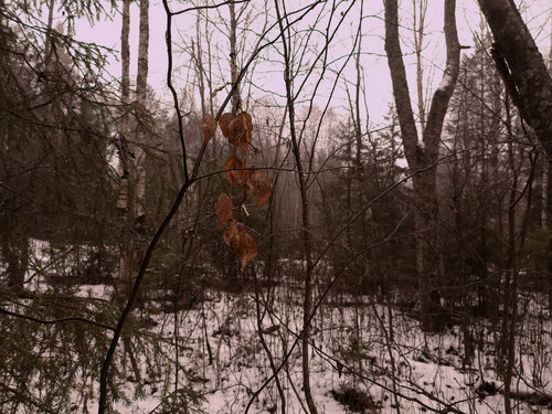 IMG 20221110 4.jpg