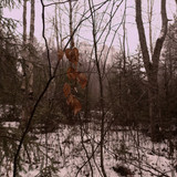 IMG 20221110 4