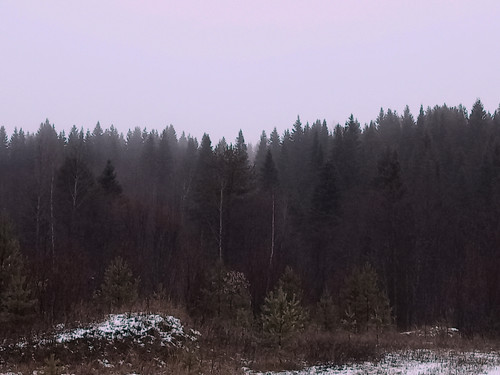 IMG 20221110 5.jpg