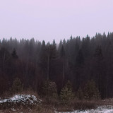 IMG 20221110 5